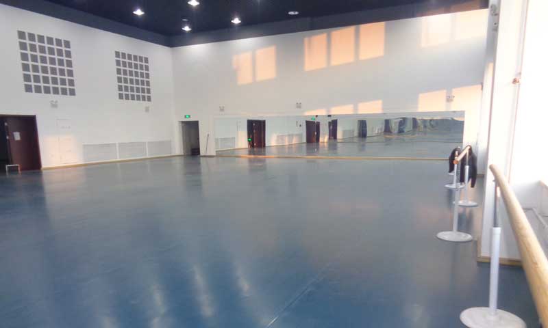 舞蹈地膠企業(yè)要時(shí)刻關(guān)注消費(fèi)者購買行為以及市場變化