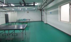 北京市豐臺(tái)區(qū)乒乓球地膠