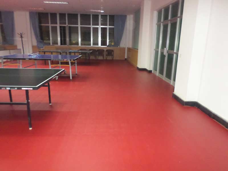 乒乓球館地膠 乒乓球館地膠廠家逆風(fēng)而上